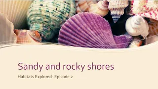 Habitats Explored-Episode 2 | Sandy and rocky shores