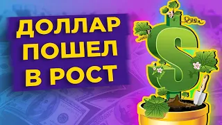 Почему курс доллара растет в августе 2020? / Обзор валютного рынка