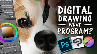 DIGITAL ART - Which App should you use? | Drawinglikeasir