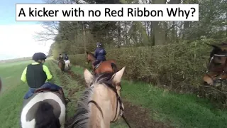 In the UK if a known kicker doesn't wear a Red warning ribbon & hurts a horse the rider is liable 😳