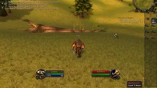 The True 2004 experience -WoW Classic