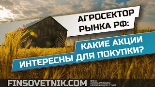 Агросектор рынка РФ: какие акции интересны для покупки? Какие акции есть у меня в портфеле?