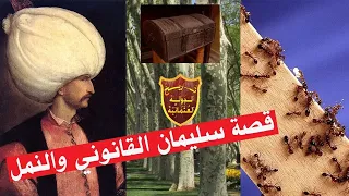 قصة الصندوق الذي اوصى به السلطان سليمان القانوني لكي يدفن معه