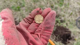 Поиск монет на урочище, где пасутся свиньи #поискмонет #клад #камрад #коп #поискклада#копатель