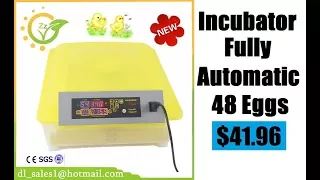 Fully Automatic Egg Incubator For Hatching 48 Eggs 2020