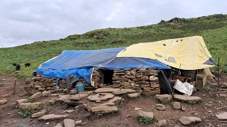 This is Himalayan Life | Nepal Shepherd Life in Rainy Season | himalayan Village Life