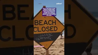 Home and Away beach closed due to sharks | 4 Jan 2023 | Yahoo News Breakdown #shorts #yahooaustralia