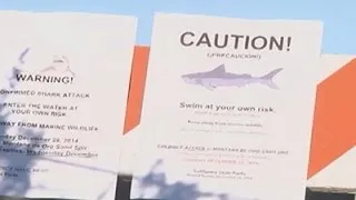Surfer Survives Central California Shark Bite