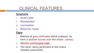 peripheral corneal diseases