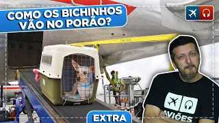 Como o PET vai no PORÃO do avião? EP. 598