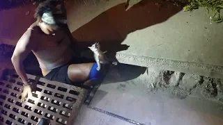 Brave Woman Jumps Into Storm Drain To Rescue Kitten Crying For Help