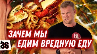 ПОЧЕМУ МЫ НЕ МОЖЕМ ПОХУДЕТЬ? МОЗГ ЗАСТАВЛЯЕТ ЕСТЬ!