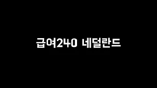 급여240 네덜란드 스쿼드