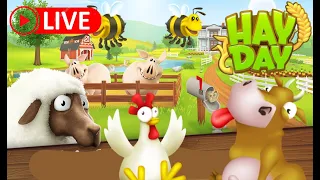 Hay Day Live - Farm Management Gameplay