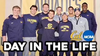 Day in the Life of a College Athlete: Travel Day | Cal vs UCSD Swim Meet