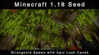 Minecraft 1.18 Seed (Bedrock) Stronghold Spawn with Epic Lush Caves (60 Second Seeds)