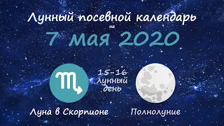 [7 мая 2020] Лунный посевной календарь огородника-садовода