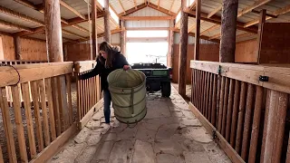 Cleaning Up the New Barn & Adding Potted Blue Spruce Trees! 🐎🪴🌲 // Garden Answer