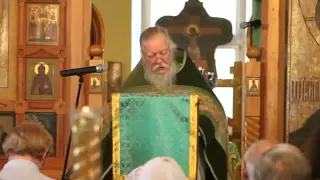 День Святой Троицы Пятидесятница!!!Священник Димитрий Смирнов.