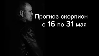 Прогноз скорпион с 16 по 31 мая