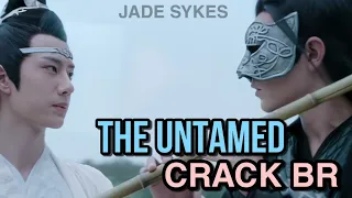 THE UNTAMED (MDZS) | CRACK BR #1