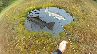 CRAZY MAN FIGHT BIG CATFISH IN A SWOLLEN RIVER UNDER THE STORM - HD by IT Channel