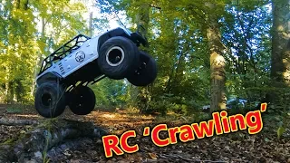 Capable RC Crawler without breaking the bank