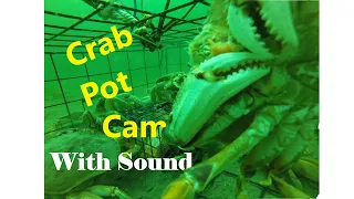 GoPro in Crab Pot With Sound