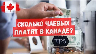 Сколько чаевых платят в Канаде?