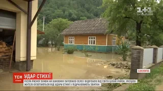 Удар стихії: після сильної зливи на Буковині затопило село