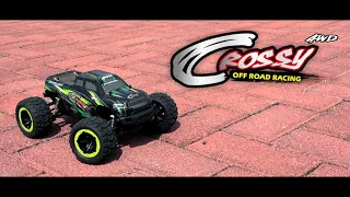 VOLANTEXRC  1:16 Scale 4WD Off-Road 30MPH High Speed All Terrain RC Monster Truck