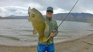 Windy Day Swimbait Fishing From Shore!