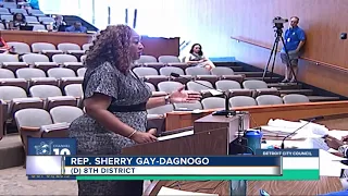 State Rep. Gay-Dagnodo speaks to Detroit City Council after her home was demolished