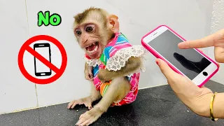 Monkey Diana is angry because her mother won't let her see her phone