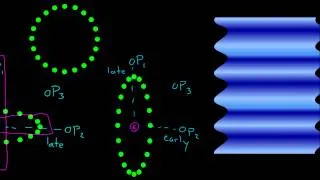 Detecting Gravitational Waves With Pulsars