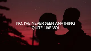 The Script - Never Seen Anything Quite Like You (Lyrics)