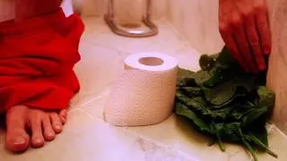 В поисках чистой воды: Туалетная бумага vs. Лопухи!