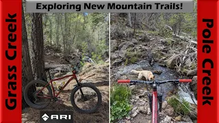 Getting back in the mountains in Pole Creek! | Mountain Biking Pahvant Mountains, Utah