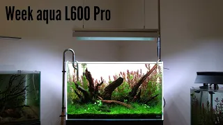 Présentation Week Aqua L600 PRO