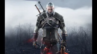 Witcher 3 Next Gen DX11 MLLSE RTX 3060 ti + I5-12400F 1440p (Settings in description)