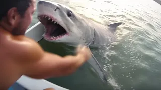 41 Year-Old Boating Man Gets Too Close to Great White Shark