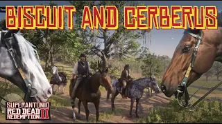 The Second Horse Race With The Fancy Lady With Cerberus and Biscuit, in Red Dead Redemption 2