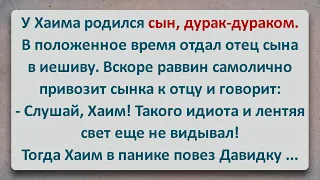 ✡️ У Хаима Родился Сын Идиот! Еврейские Анекдоты! Анекдоты про Евреев! Выпуск #332