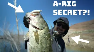 This Secret A-Rig Trick Will Catch You MORE And BIGGER Fish!