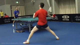 Ma Long, Xu Xin, Fan Zhendong training in Tokyo | 2019 Team Wolrd Cup #2