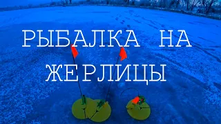 Рыбалка на ЖЕРЛИЦЫ.Насадил ЖИВЦА,и понеслось...Рибалка в Сулимові.