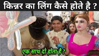 Amazing fact about kinner/dinner fact in hindi /hinjra kya hota h