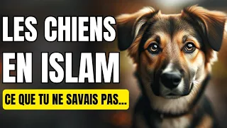 LES CHIENS SONT-ILS AUTORISÉS DANS NOS FOYERS ?