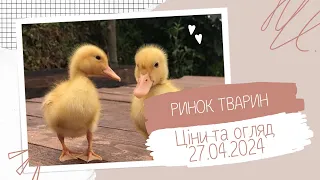 Ринок тварин! 27.04.2024.