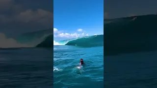 waves are spectacular ❤️| Teahupo'o, Tahiti | #Shorts #Travel